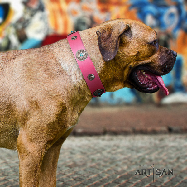 Cane Corso inimitable full grain leather dog collar for handy use