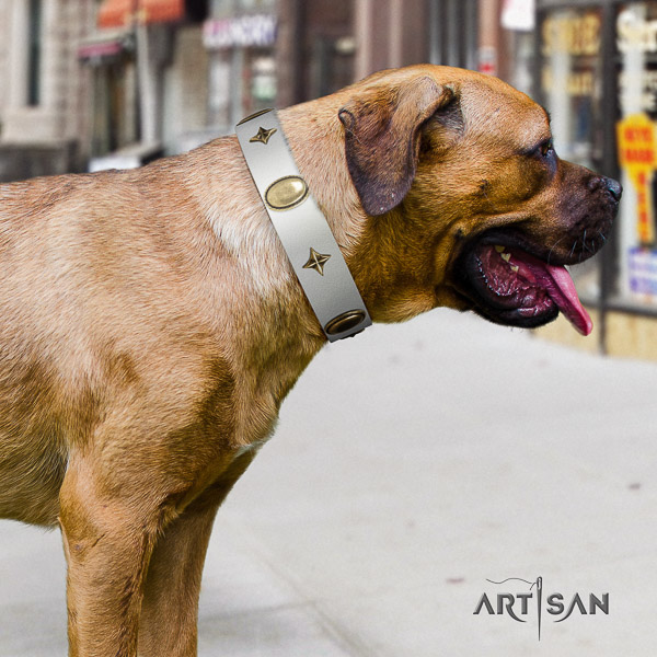 Cane Corso top quality full grain leather dog collar for comfy wearing