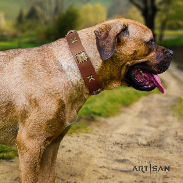 Cane Corso fashionable genuine leather dog collar for walking