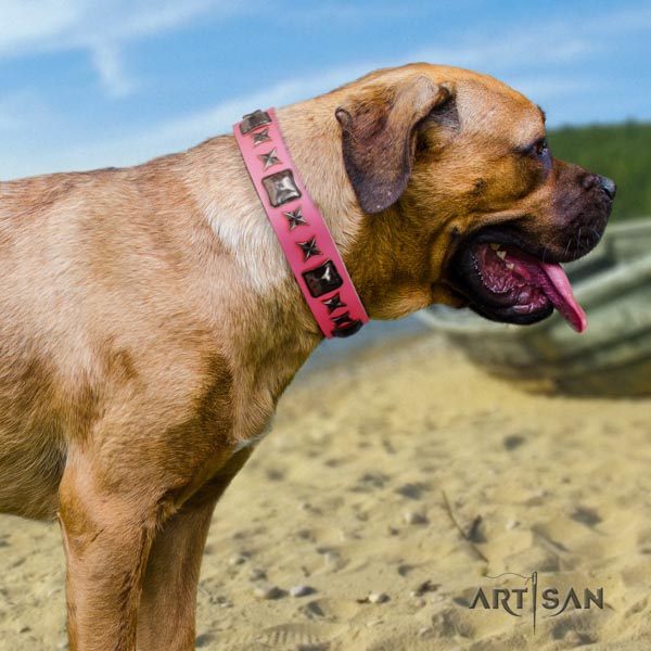 Cane Corso full grain natural leather collar with corrosion proof D-ring