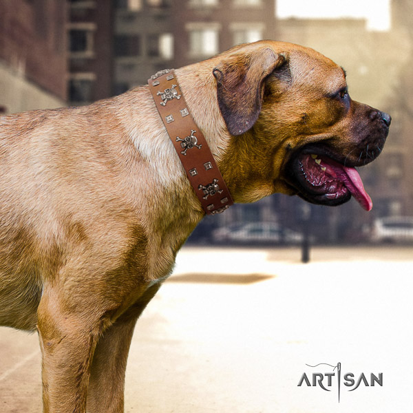 Cane Corso adjustable leather dog collar for daily use