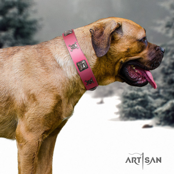 Cane Corso top notch full grain genuine leather dog collar for basic training