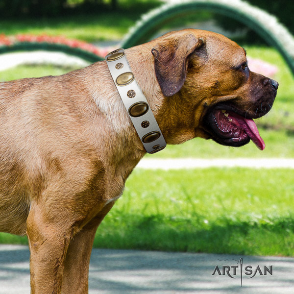 Cane Corso exceptional full grain genuine leather dog collar for easy wearing