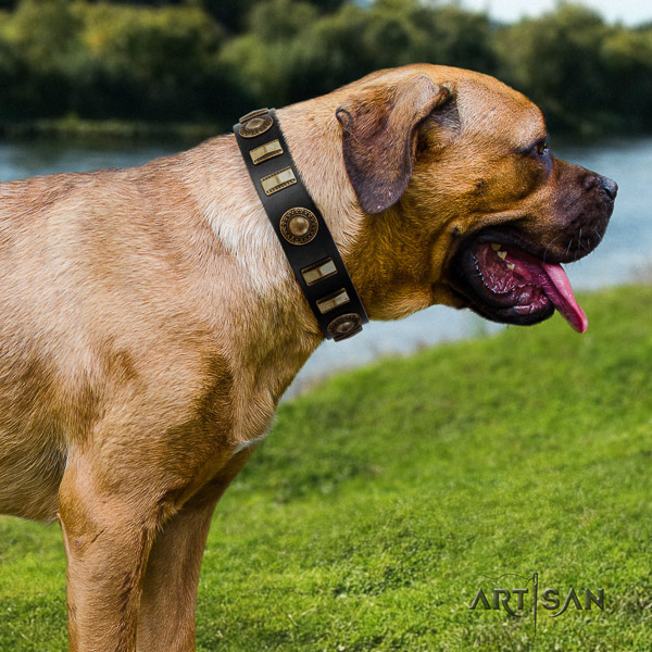 Cane Corso designer full grain genuine leather dog collar for daily use