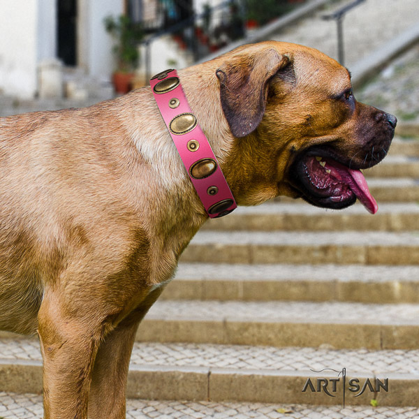 Cane Corso adorned leather dog collar for handy use
