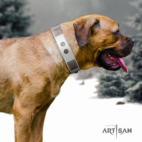 Cane Corso trendy natural genuine leather dog collar for walking