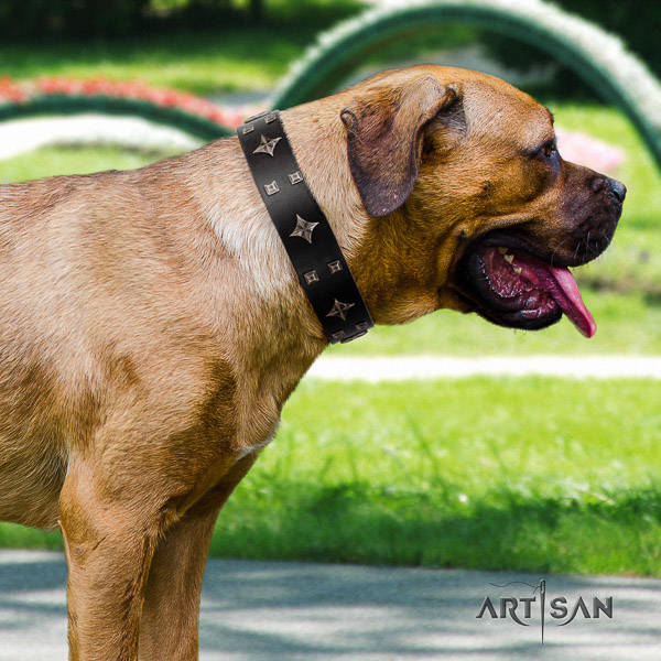 Cane Corso exceptional full grain natural leather dog collar for comfy wearing