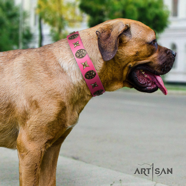 Cane Corso significant genuine leather dog collar for walking