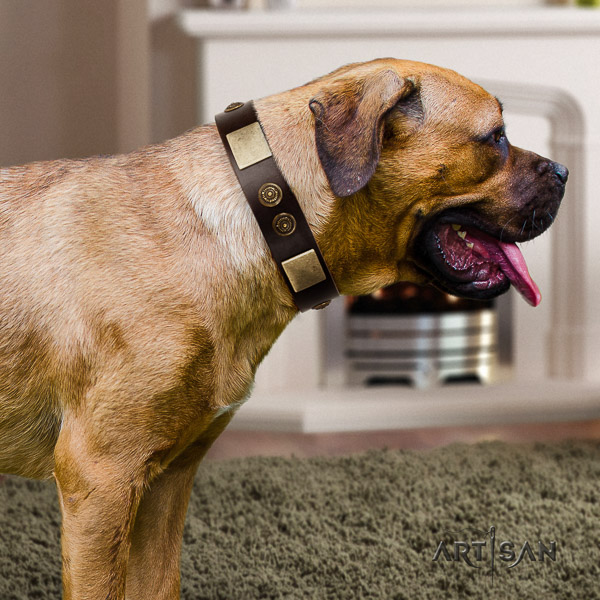 Cane Corso easy to adjust genuine leather dog collar for stylish walking