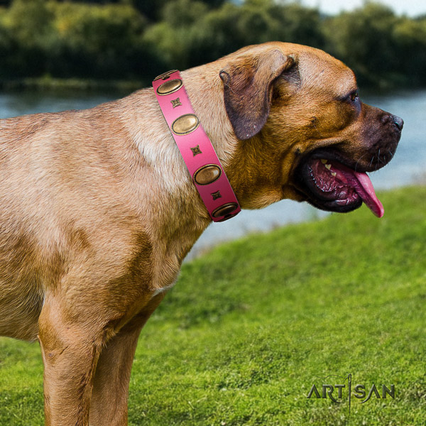 Cane Corso amazing full grain natural leather dog collar for handy use