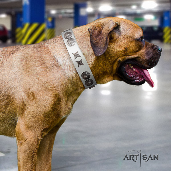 Cane Corso inimitable leather dog collar for stylish walking