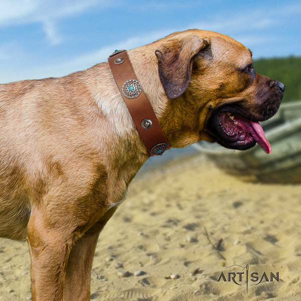 Cane Corso easy adjustable genuine leather dog collar for everyday walking