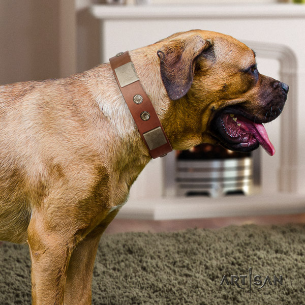 Cane Corso easy adjustable natural genuine leather dog collar for everyday use