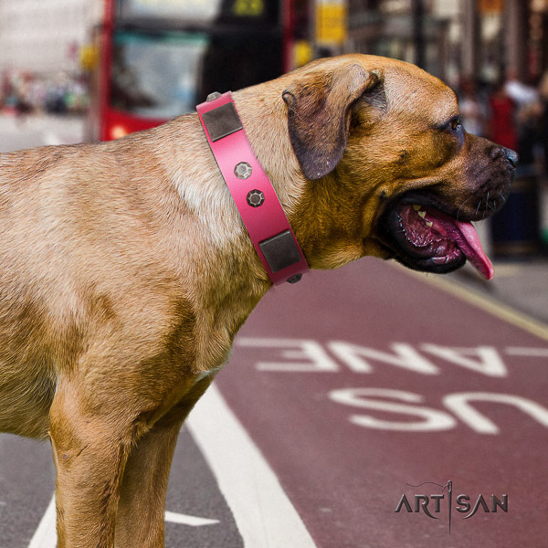 Cane Corso stylish design natural genuine leather dog collar for stylish walking