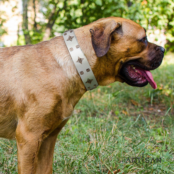 Cane Corso handmade full grain genuine leather dog collar for daily use