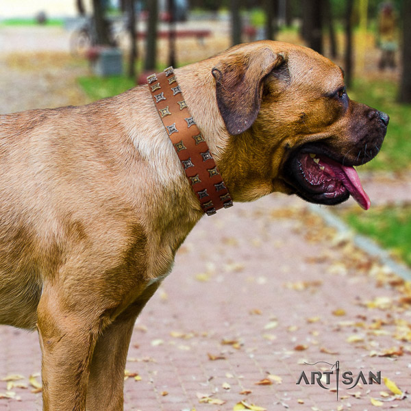 Cane Corso stylish natural genuine leather dog collar for handy use