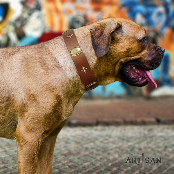 Cane Corso convenient full grain genuine leather dog collar for handy use