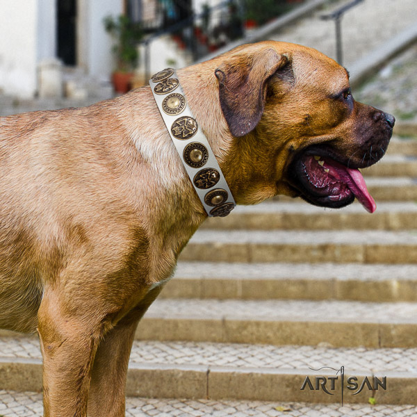 Cane Corso best quality leather dog collar for comfortable wearing