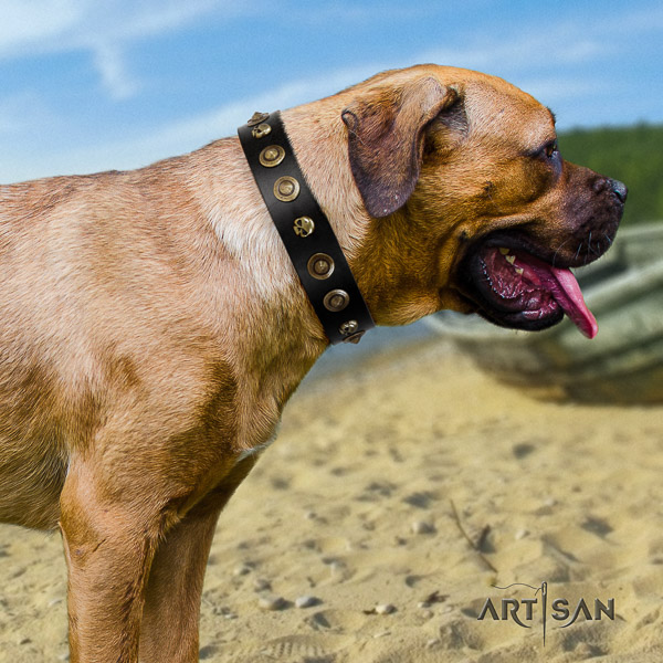 Cane Corso embellished full grain natural leather dog collar for easy wearing