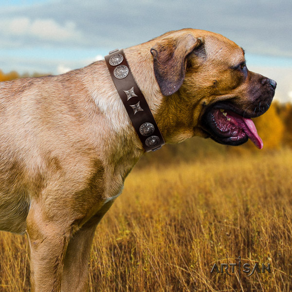 Cane Corso designer full grain genuine leather dog collar for handy use