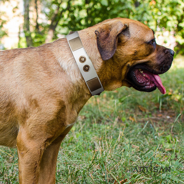 Cane Corso top quality full grain natural leather dog collar for comfy wearing