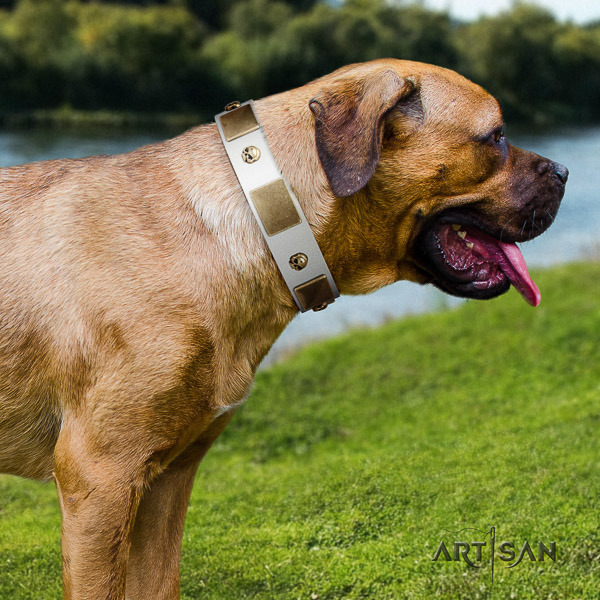 Cane Corso studded natural genuine leather dog collar for walking