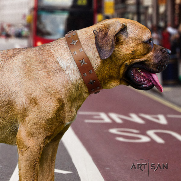 Cane Corso inimitable leather dog collar for fancy walking