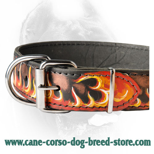 designer dog collar