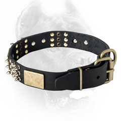Walking leather dog collar
