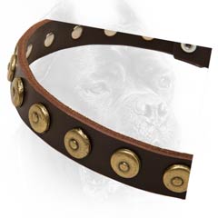 Multifunctional leather dog collar with ornament