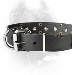 Branded canine collar