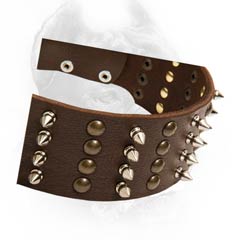 Sophisticated leather dog collar for strong dogs