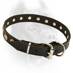 Everyday leather dog collar with decoration