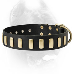 Ornamented leather dog collar