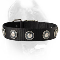 Designer dog collar for large dog breeds