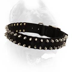 Spiked nylon dog collar