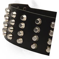 Finest leather dog collar with gorgeous studs