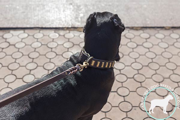 Cane Corso brown leather collar with rustless plates for better comfort