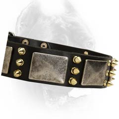 Adjustable leather dog collar