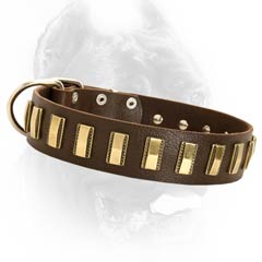 Practical leather dog collar