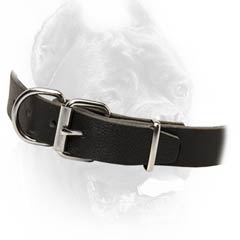 Superior leather dog collar