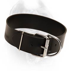 Superior leather dog collar