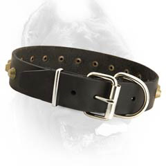 Studded leather dog collar