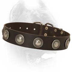 Amazing leather dog collar