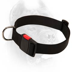 Custom made nylon dog collar