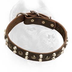 Leather dog collar with spikes and studs