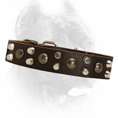 Designer leather dog collar