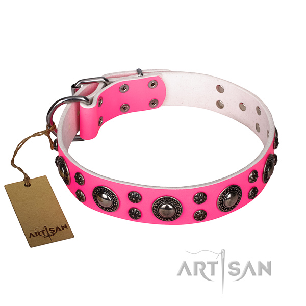 Unique full grain genuine leather dog collar for daily use