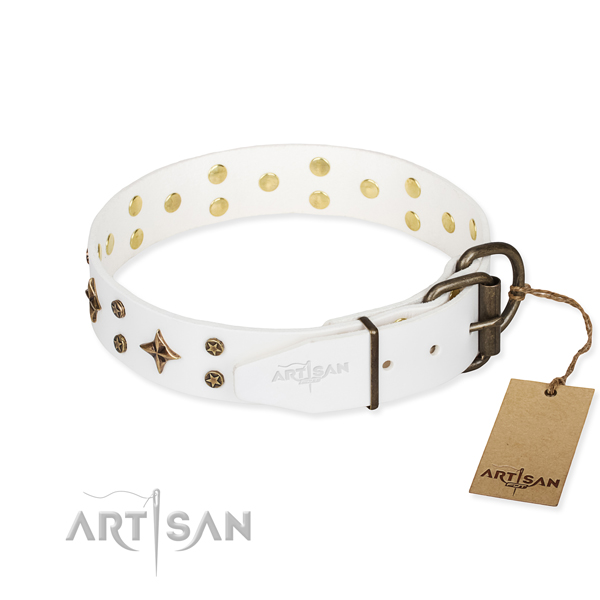 Daily use genuine leather collar with embellishments for your doggie