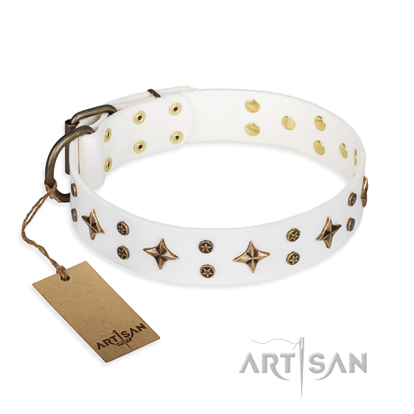 Incredible full grain leather dog collar for stylish walking